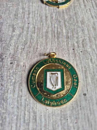 Leinster GAA Medals