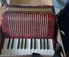 Piano accordian