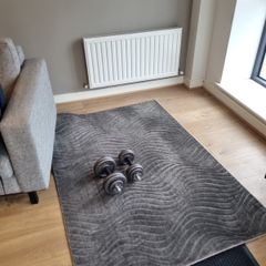 rug