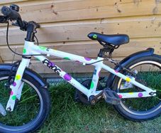 frog 48 bike