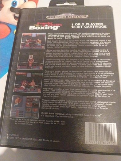 evader holy fields boxing