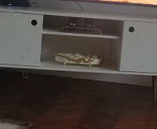 TV console unit