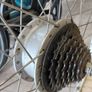 Elops rear wheel with motor Image 5