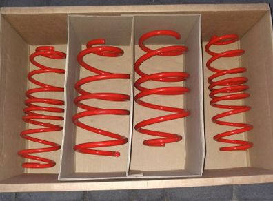 SKODA Fabia RS Lowering Springs 40mm