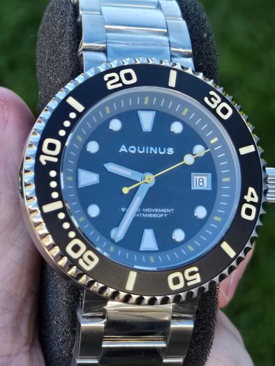 Aquinus Immersius Diver