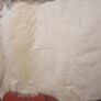 Genuine Reindeer Hide rug Image 7