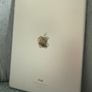 Apple iPad in Swords Image 4