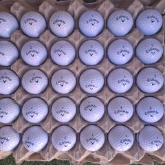 Callaway Warbird