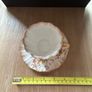 Antique Doulton Burslem Blush Ivory demitasse teacup and saucer set Image 10