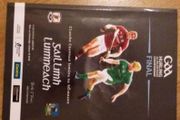 Limerick v Galway 2018 Match Program Souvenir