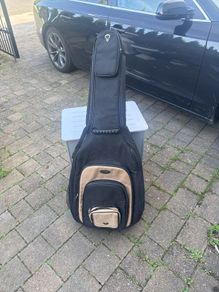 guitar case