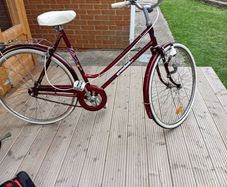 adults bike