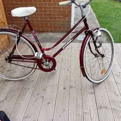adults bike