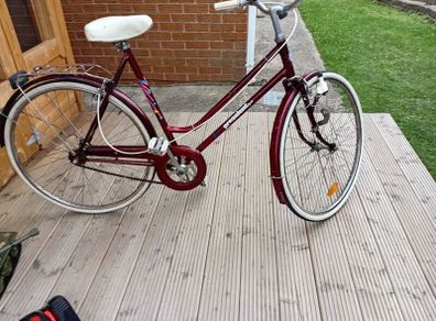 adults bike