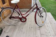 adults bike