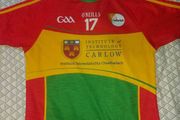 Carlow Gaa Jersey
