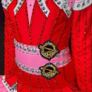 Stunning Eire design Irish dancing dress Image 2