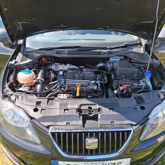 2009 Seat Ibiza
