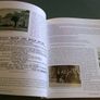 The Yellow Line History of the Mc Anulty family Warrenpoint Down Ireland Signed Image 5