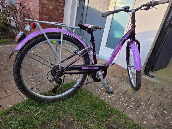 24" Purple Style Bike with Rack and Mudguards