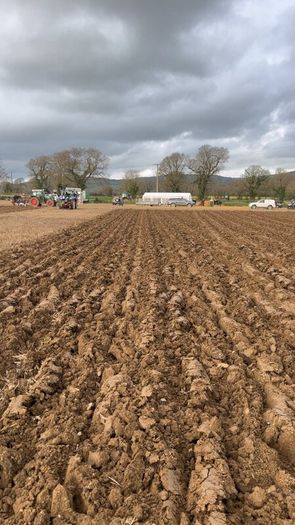 Vogel and noot 2 furrow reversible plough