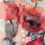 Framed watercolour painting of poppies Image 5