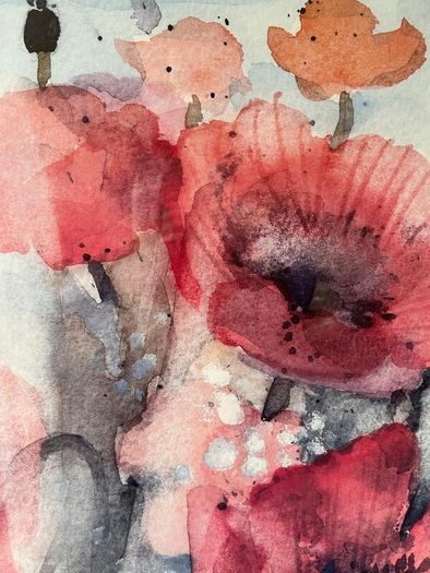 Framed watercolour painting of poppies