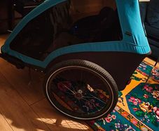 Bicycle trailer: Halfords Advanced