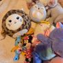 teddies Image 5