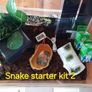 Vivarium / Corn Snake starter kits Image 2
