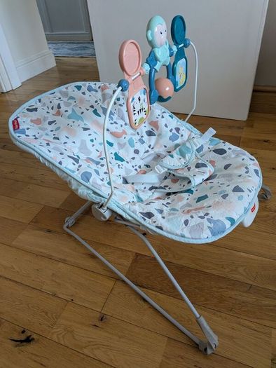Fisher-Price Baby Bouncer