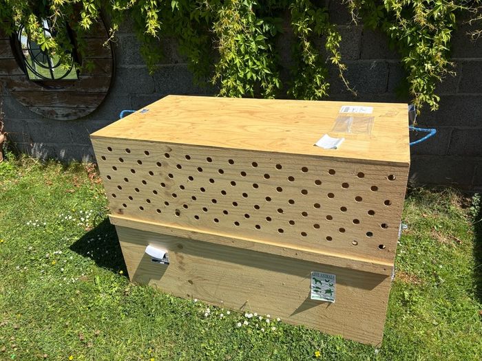 dog transport crate
