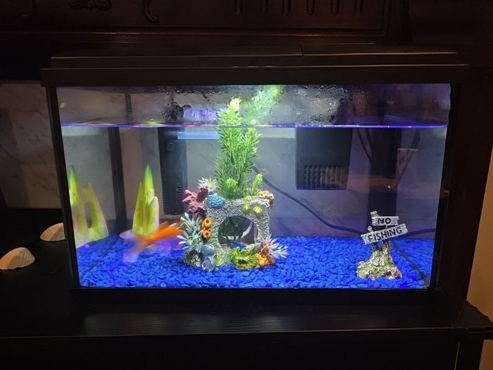 fish tank