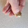 9ct gold college ring Image 3
