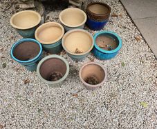 Selection of 12 Garden Flowerpots