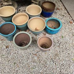 Selection of 12 Garden Flowerpots