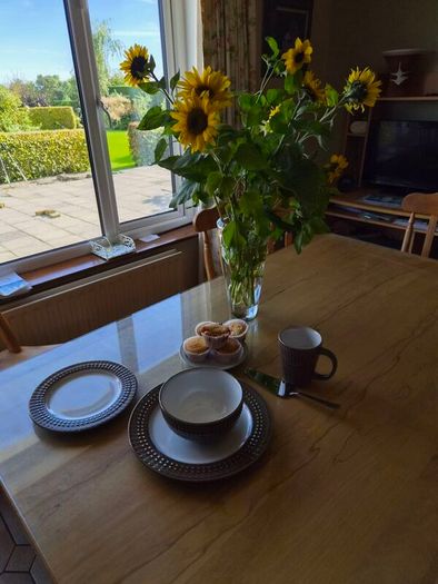 Denby  Mocha 16 piece dinner set