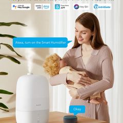 Govee smart humidifier lite