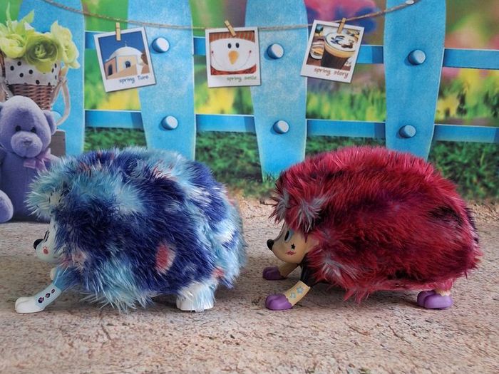 2x Zoomer Hedgiez Hedgehogs