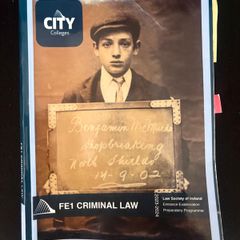 FE1 Criminal Law Manual