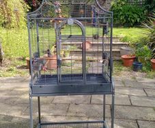 Large bird cage