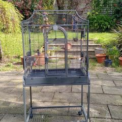 Large bird cage