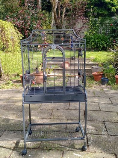 Large bird cage