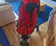 Jogging buggy