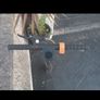 Electric scooters Image 4