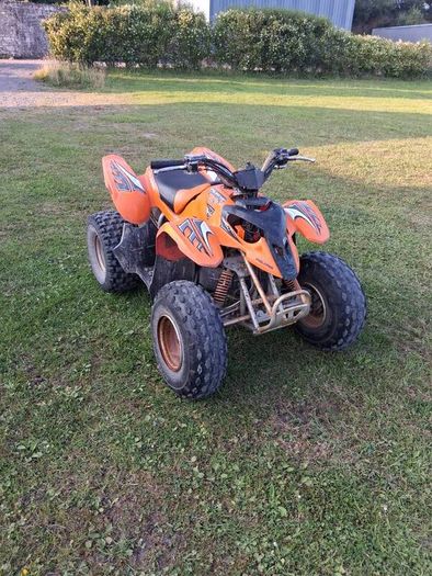 Palaris Quad