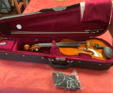 Viola - 14 inch