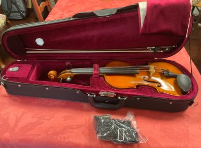 Viola - 14 inch