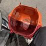 Small pet Carrier Image 3