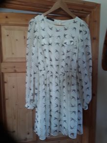ladies top